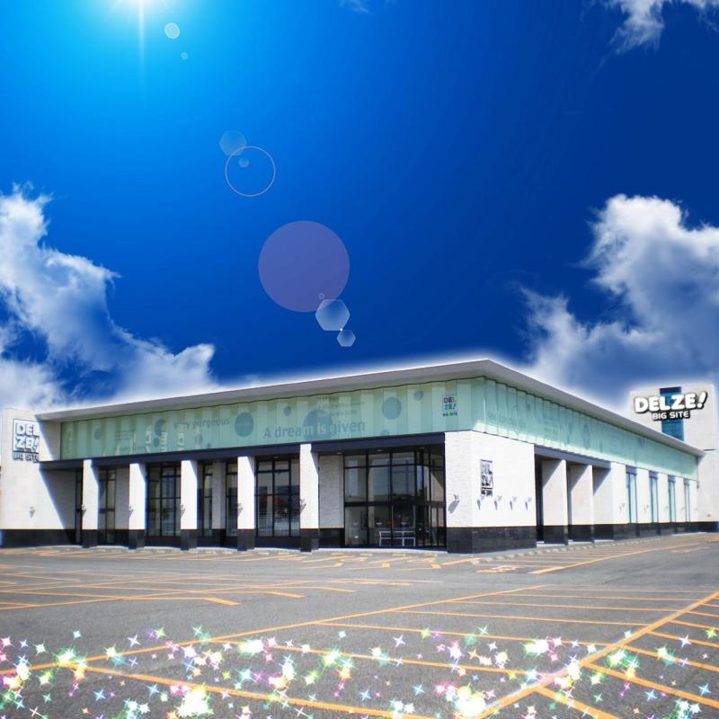 デルゼビッグサイト新潟東店の店舗画像